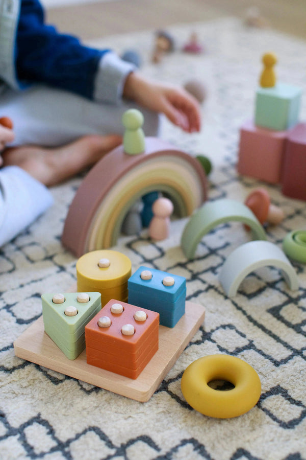 LYTL Montessori Playroom Bundle 6 Toys Earth-Tone Set