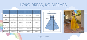 The Enchanted Rose Princess Dress