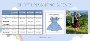 The Pirate Princess Costume Dress