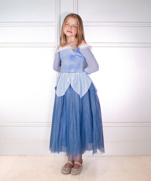 The Blue Sleeping Princess Dress