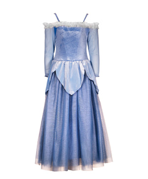 The Blue Sleeping Princess Dress