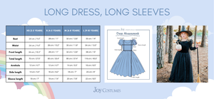 The Witch of the West  Costume Dress