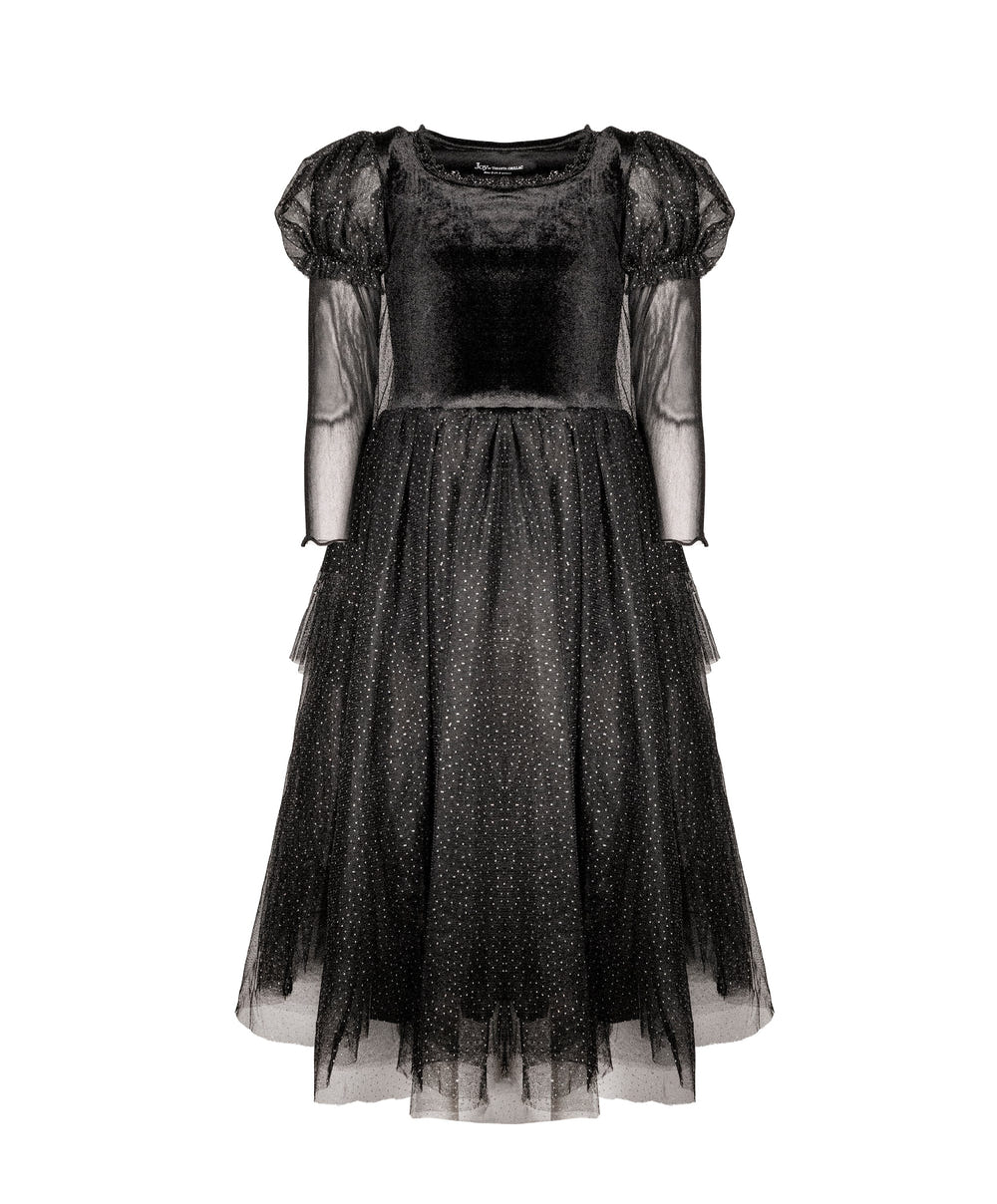 The Witch of the West  Costume Dress