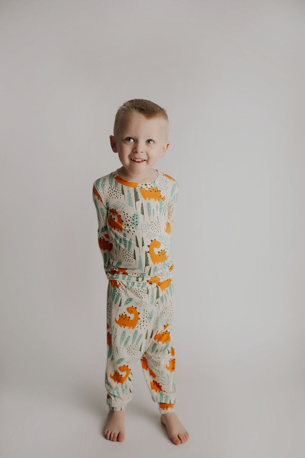 Dinosaur Kids Pajamas