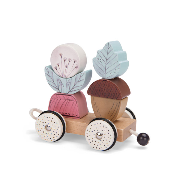 Pull along activity train "After The Rain" collection