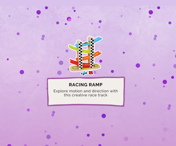 Montessori Educational Box (16-18 Months)