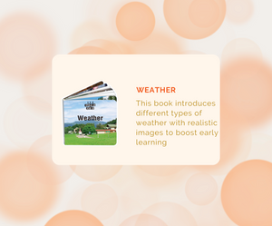 Montessori Educational Box for toddlers 25-27 months, designed for nursery decor and early learning activities.