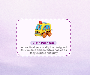 Montessori Educational Box (11-12 months)