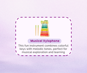 Montessori Educational Box (11-12 months)