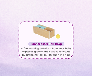 Montessori Educational Box (11-12 months)