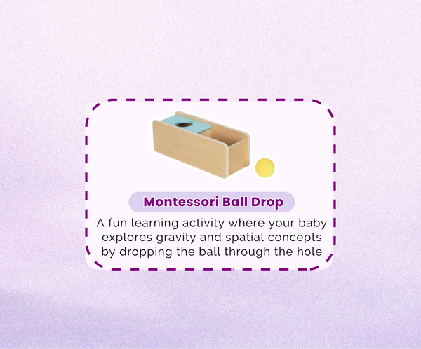 Montessori Educational Box (11-12 months)