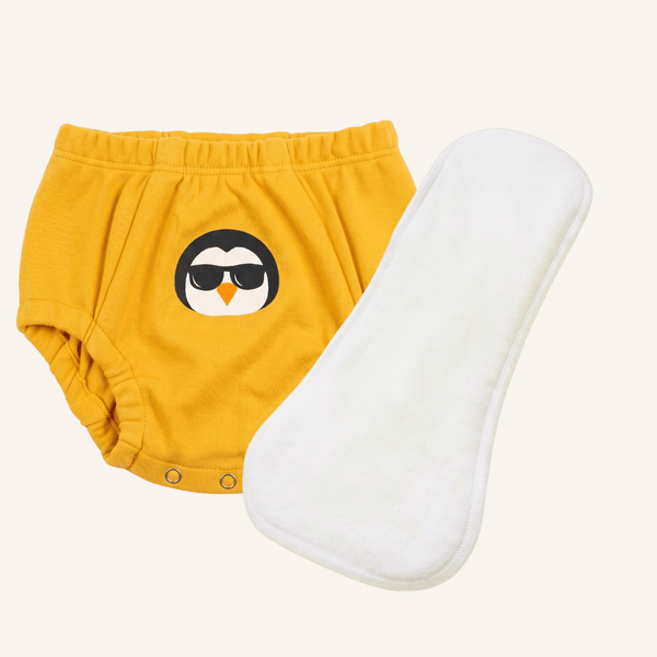 Reusable Booster Pad (1 count)