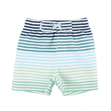 Coastal Stripe Swim Trunks