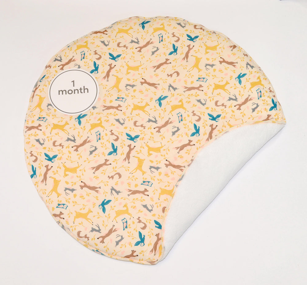 Bamboo Playmat & Monthly Sign Card Set (Woodland Frolic Print)