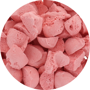 Freeze Dried Ice Cream That Does Not Melt (Bits) Watermelon