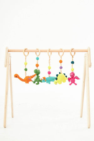 Montessori Baby Gym & Hanging Toys Set | Wooden Play Gym for Babies