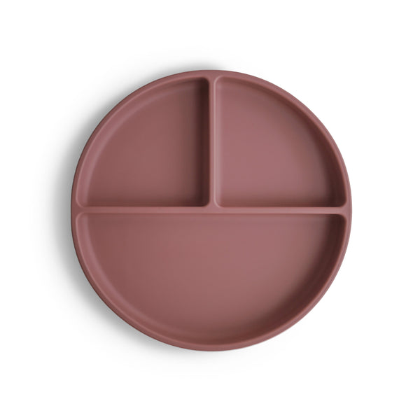 Silicone Suction Plate