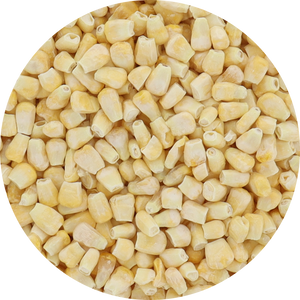 Freeze Dried Corn - Fire Roasted