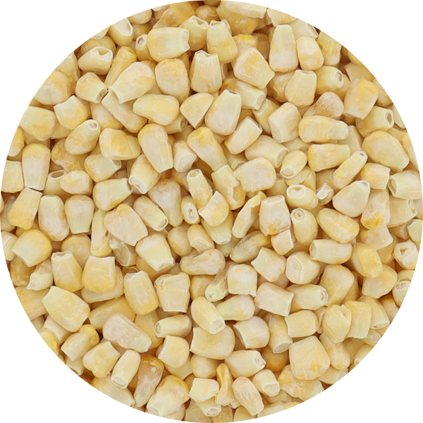 Freeze Dried Corn - Fire Roasted