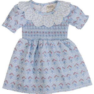 Blue Meadow Dress
