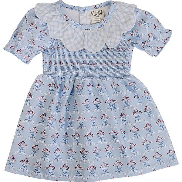 Blue Meadow Dress