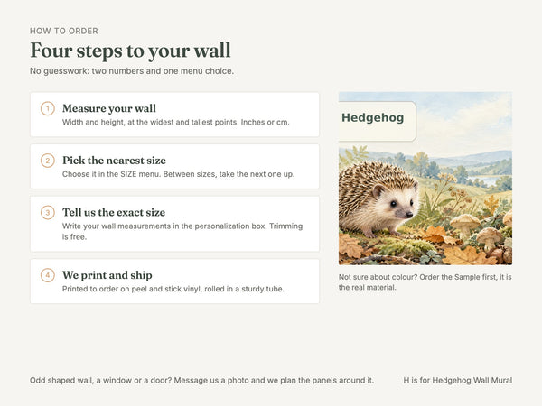 Watercolor H is for Hedgehog Alphabet Wall Mural, image 6
