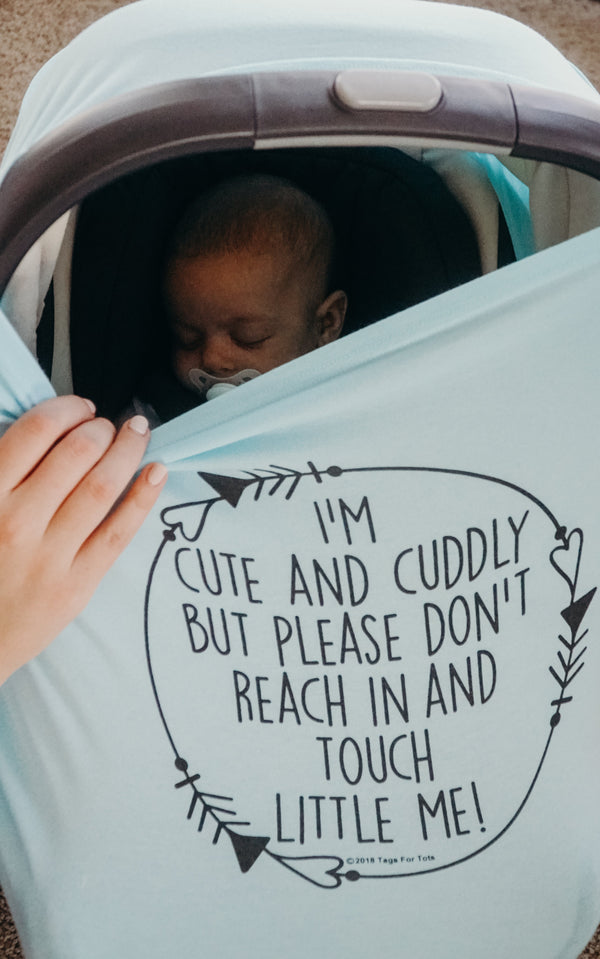 Light Blue Car Seat 5 in 1  Cover  – I'm Cute & Cuddly But Please Don't Touch Little Me