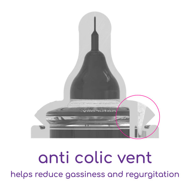 mōmi breast-like bottle 4oz 2-set with purple collar