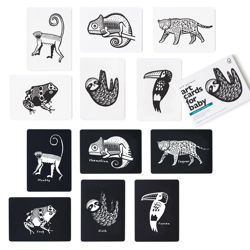 Art Cards for Baby - Rainforest Collection, vibrant designs for early learning and sensory development.