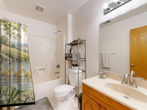 Ducklings Pond Farm shower curtain on a tub shower combo in an American family bathroom