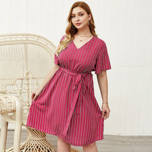 Plus Size Designer Dress with Stripes