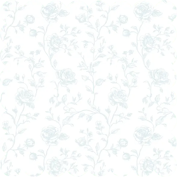 Baby Blue Floral Toile Napkin, 40 pcs