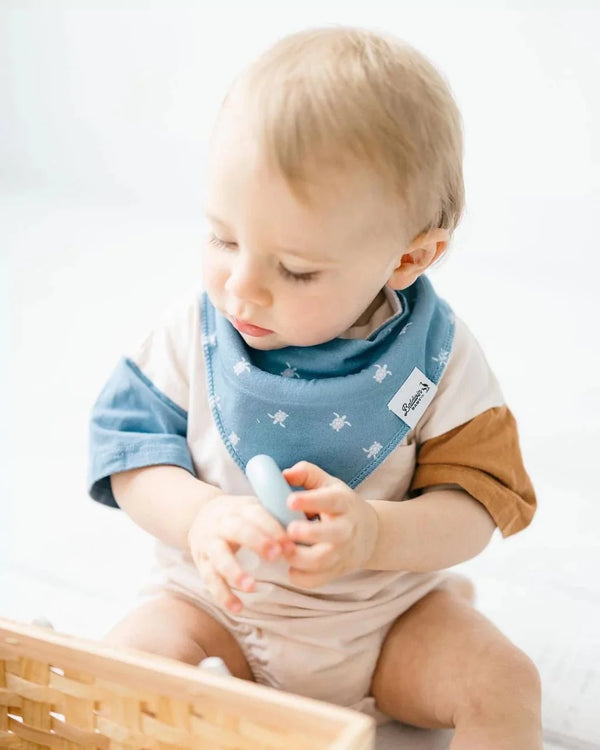 Sealife Wonder Bandana Bibs Collection