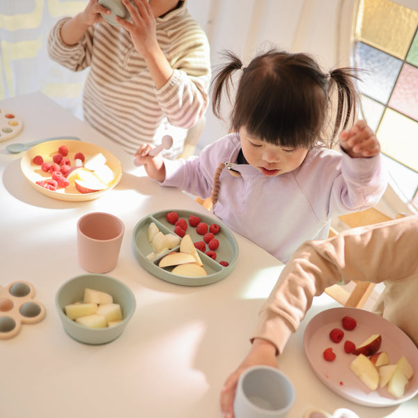 Mushie Silicone Suction Bowl for Babies Learning to Feed