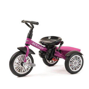 Bentley 6-in-1 Baby Stroller / Kids Trike