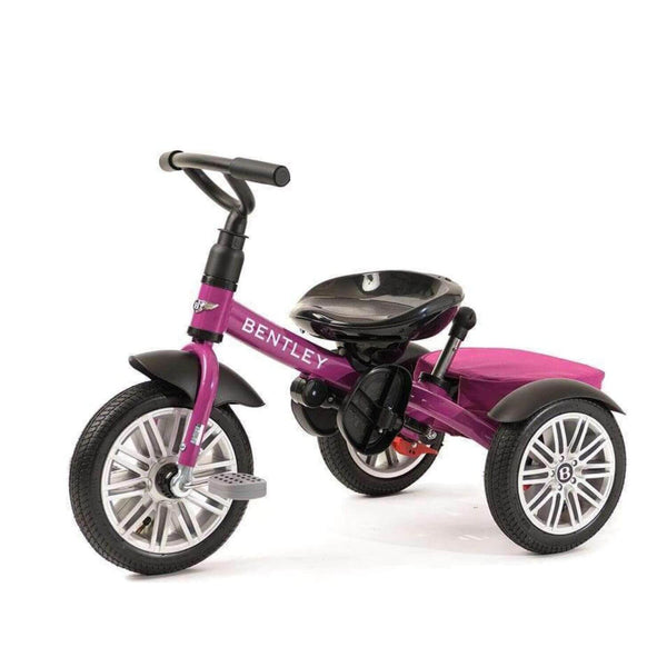 Bentley 6-in-1 Baby Stroller / Kids Trike