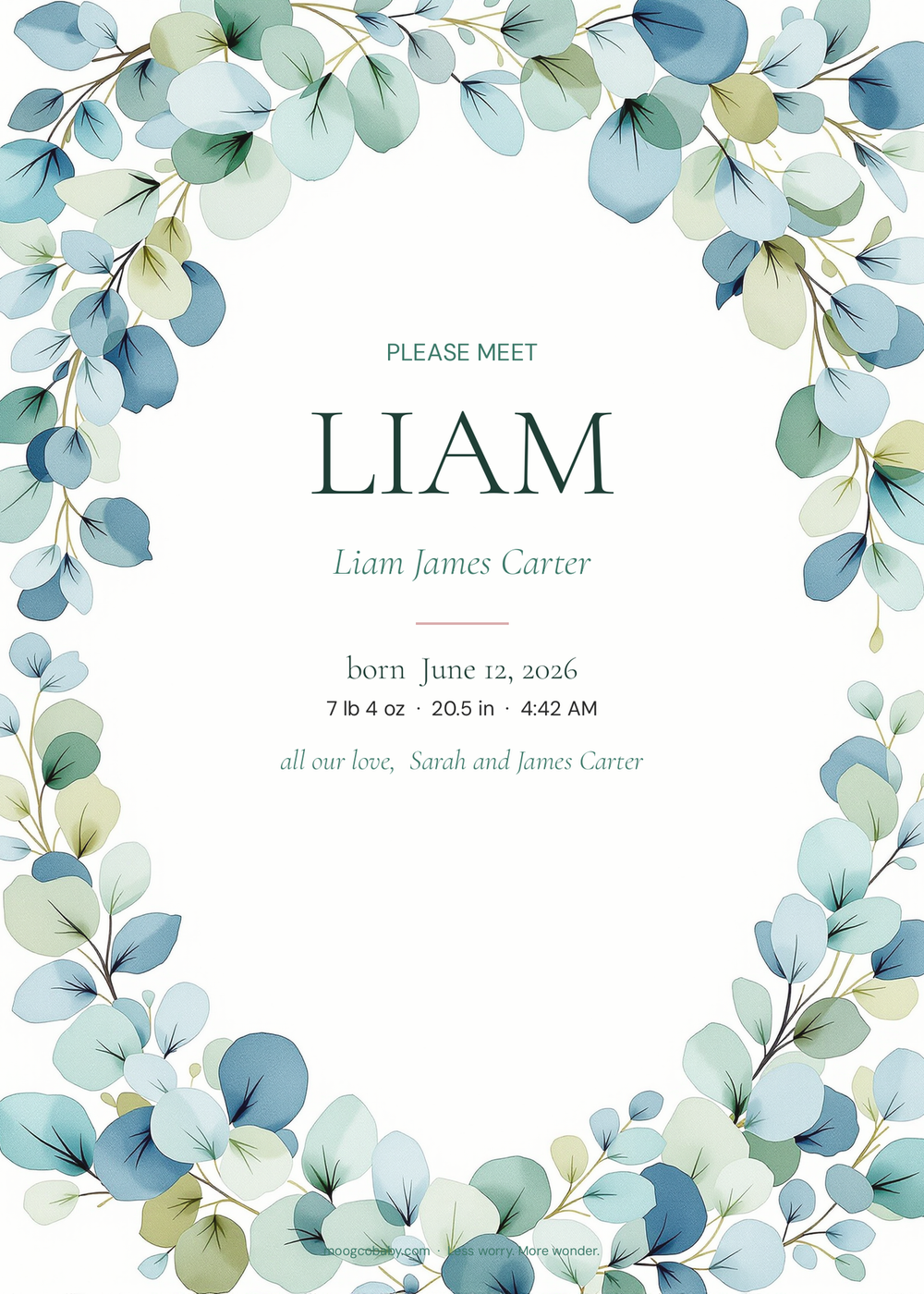 lifestyle birth announcement