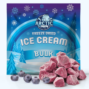 Freeze Dried Ice Cream That Does Not Melt (Bits) Blueberry