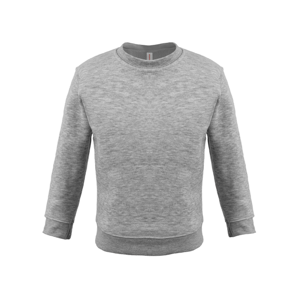 Bonita Cotton Soft Style Youth Size Unisex Sweatshirt