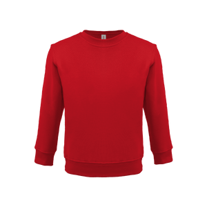 Bonita Cotton Soft Style Youth Size Unisex Sweatshirt