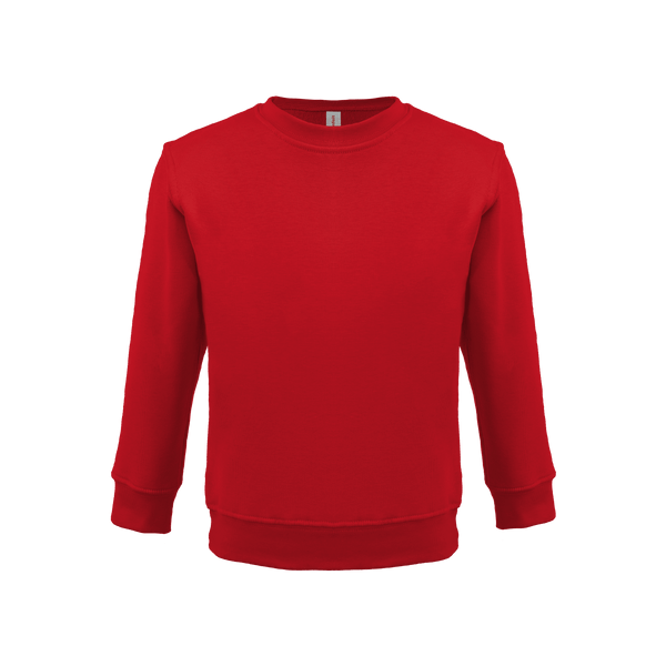 Bonita Cotton Soft Style Youth Size Unisex Sweatshirt