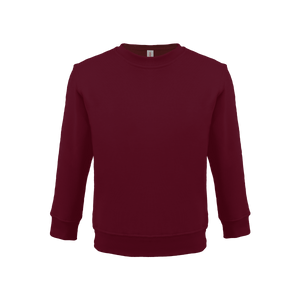 Bonita Cotton Soft Style Youth Size Unisex Sweatshirt