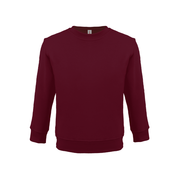 Bonita Cotton Soft Style Youth Size Unisex Sweatshirt