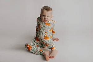 Dinosaur Kids Pajamas