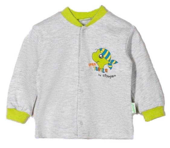 Boys Top Turtle Button Down