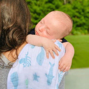 Burp Cloth Bib- Cookie Craze