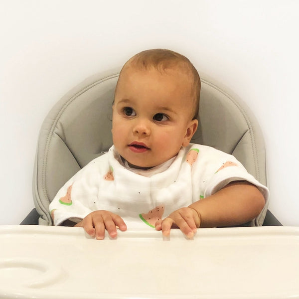 Burp Cloth Bib- Cookie Craze