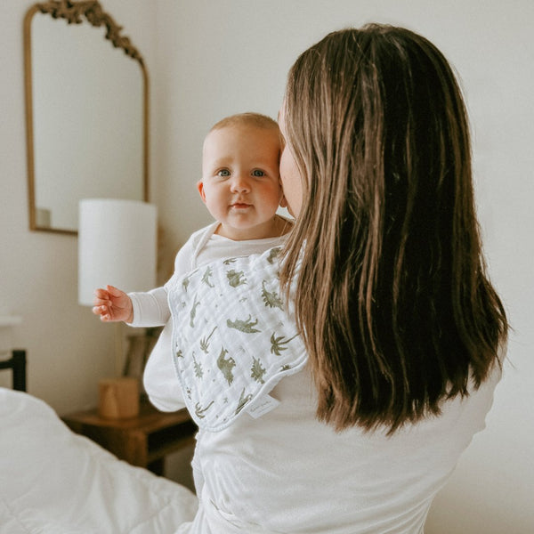 Burp Cloth Bib- Dino-Snores