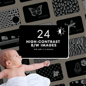High-Contrast Vision Development Cards