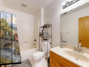 Countryside Train shower curtain on a tub shower combo in an American family bathroom